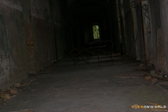 img073