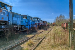 IMG_20250412_141821_32