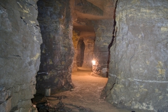 IMGP4592_3