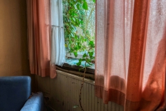 IMG_20250202_100708_28