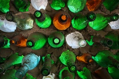 IMG_20250316_121102