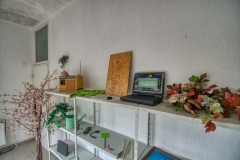 IMGP5819_1