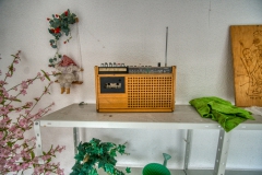 IMGP5820_2