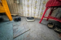 IMG_20250208_104624_62