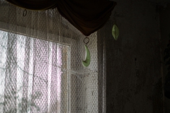 IMGP2428_19