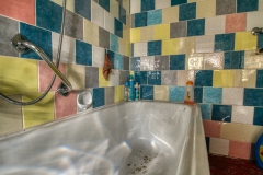 IMGP5394_13