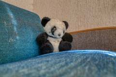 IMGP5397_16