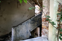 IMGP2155