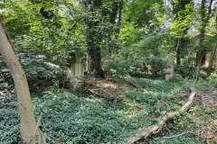 Der Friedhof (Handyaufnahmen)