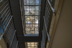IMGP5493_15