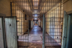 IMGP5498_20