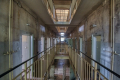 IMGP5501_23