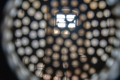 IMGP5504_26