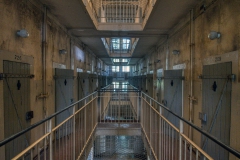 IMGP5505_27