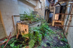 IMGP6023_69