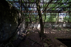 IMGP2245_6_7