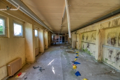 IMGP5400_1