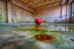 IMGP5406_1