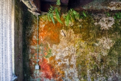 IMGP7458_23