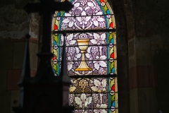 IMGP7325_49