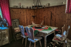 IMG_20250316_102654_8